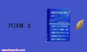 PLOOM 煙彈|七星加熱煙|駱駝加熱菸|Mevius菸彈|台灣電子煙批發-2 PLOOM 煙彈|七星加熱煙|駱駝加熱菸|Mevius菸彈|台灣電子煙批發-2
