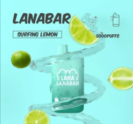 LANA 5000口可充電拋棄式電子煙｜一次性設計｜台灣現貨24h速發-2